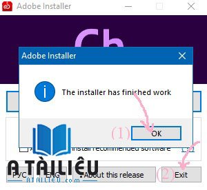 Adobe Character Animator CC 2020 - finish